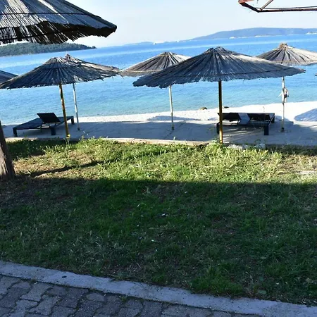 D&a * Τρογκίρ