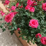 D&a * Trogir